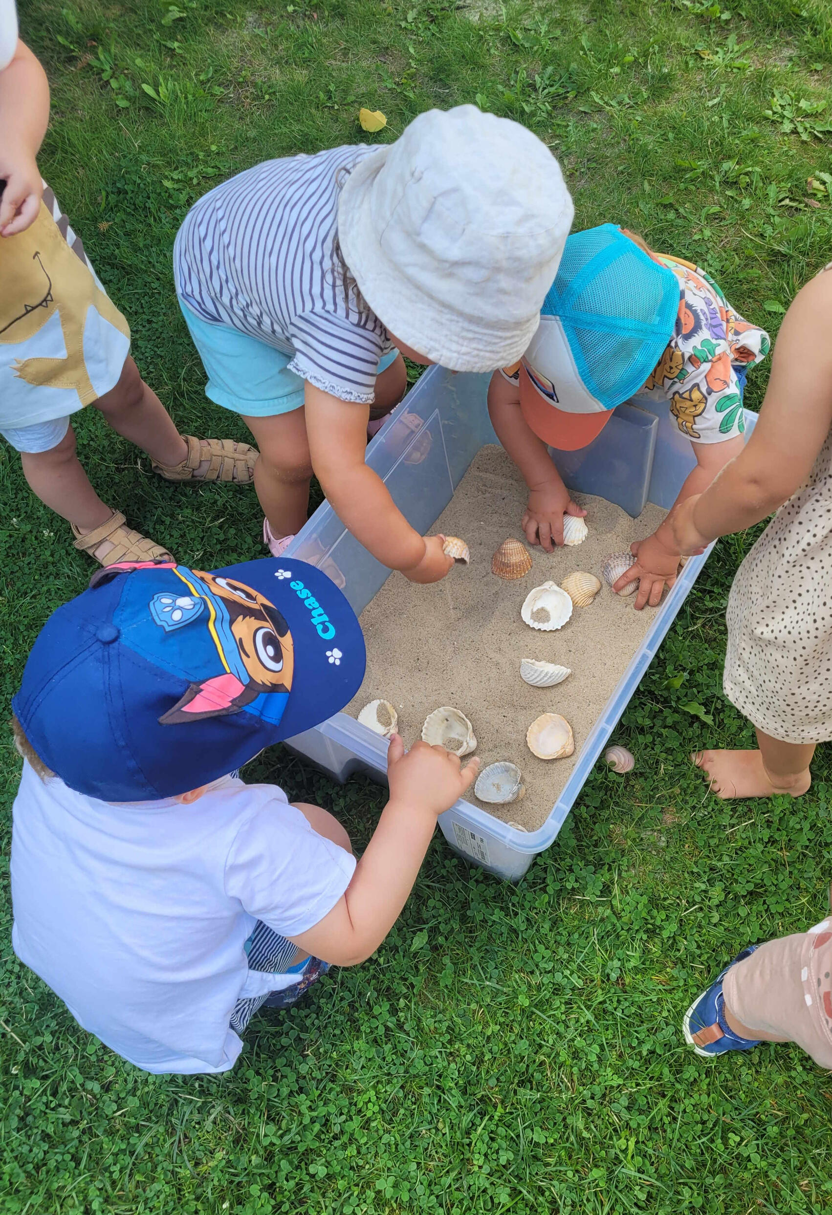 Діти граються на майданчику в дитячому садку Mariposa у Варшаві